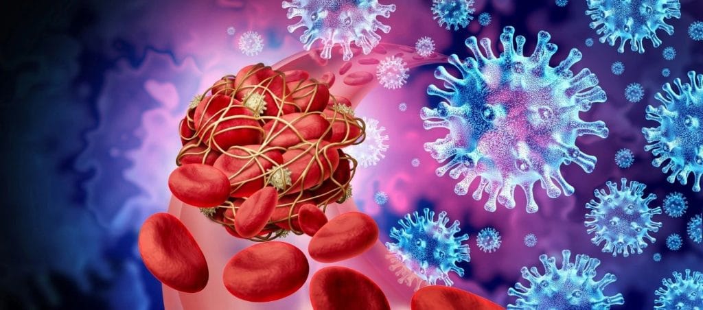 Blood platelets wrapped by fibrinogen protein and COVID-19 spike virus